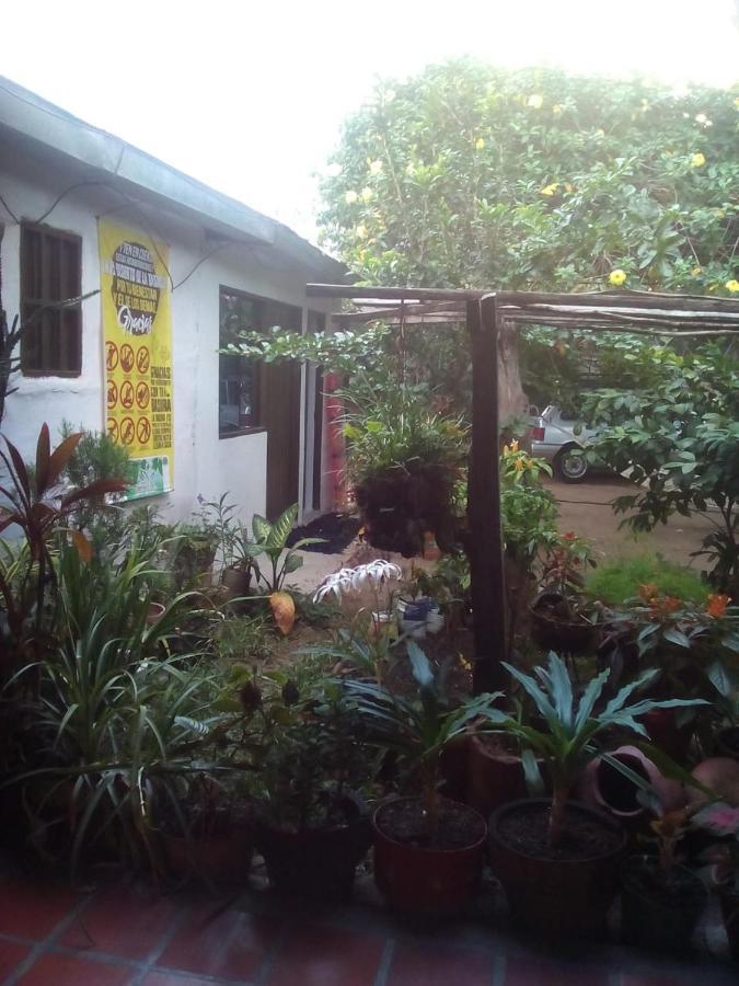 וילה-וייחה Hostal Villa Cecilia מראה חיצוני תמונה