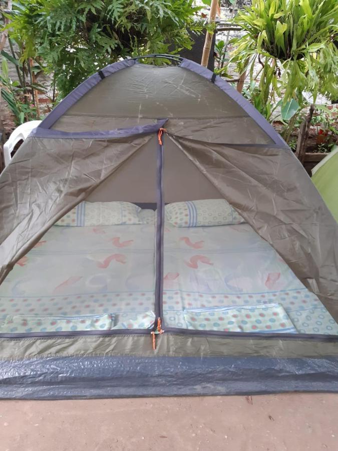 וילה-וייחה Hostal Villa Cecilia מראה חיצוני תמונה