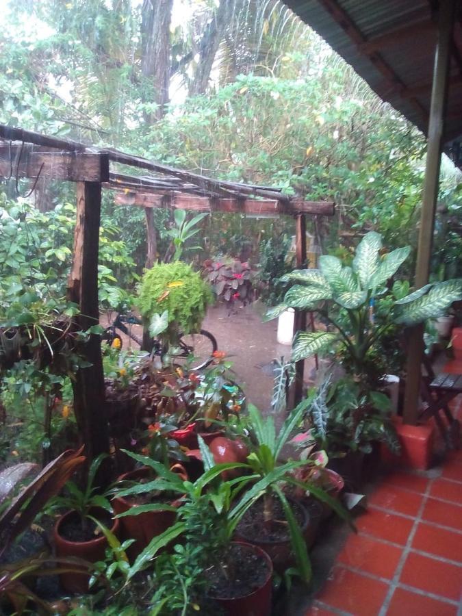 וילה-וייחה Hostal Villa Cecilia מראה חיצוני תמונה