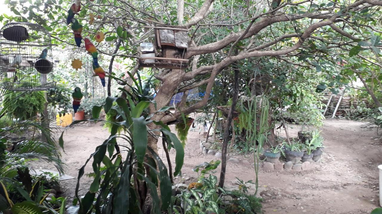 וילה-וייחה Hostal Villa Cecilia מראה חיצוני תמונה