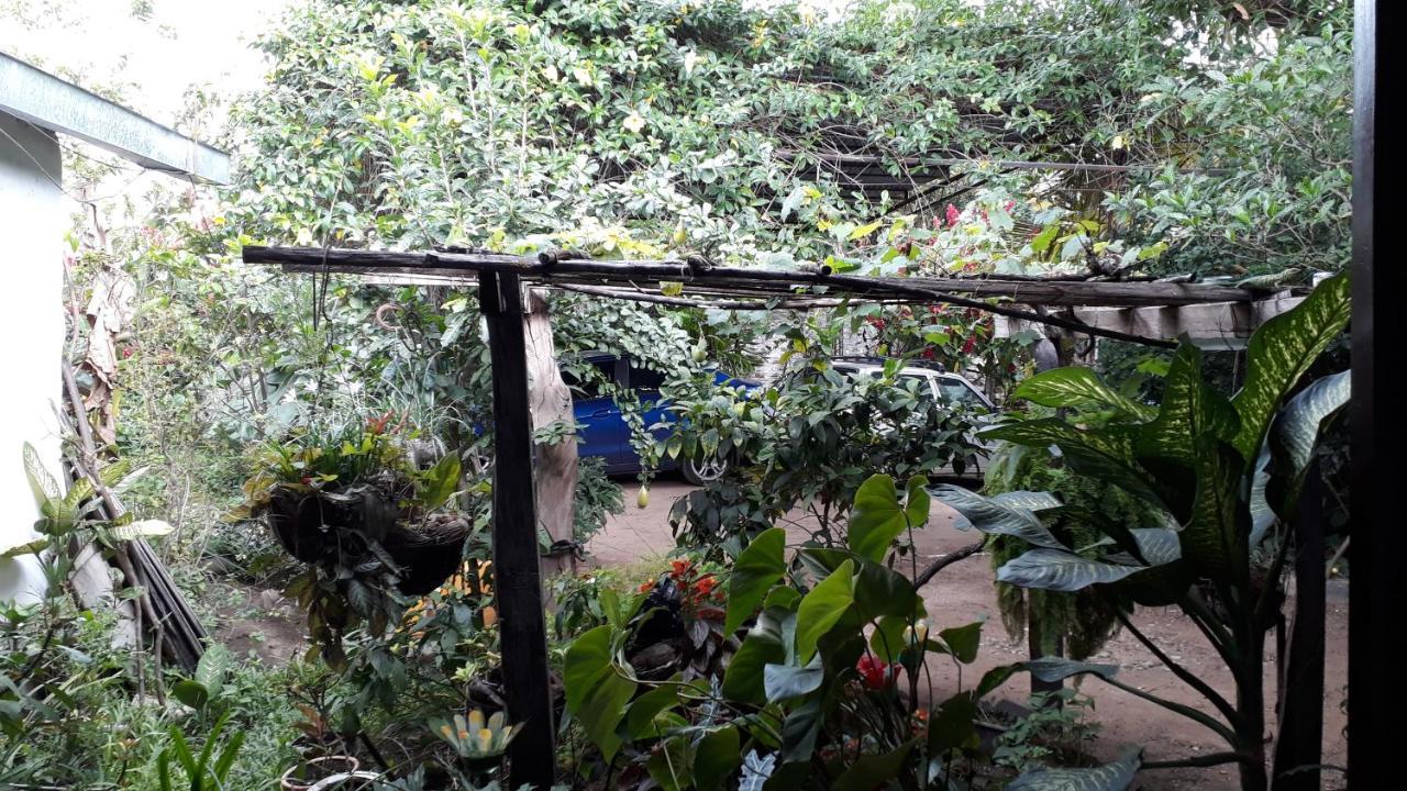 וילה-וייחה Hostal Villa Cecilia מראה חיצוני תמונה