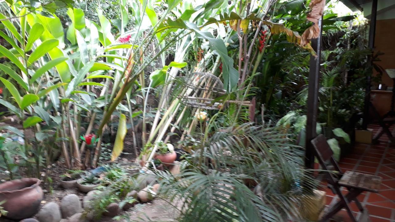 וילה-וייחה Hostal Villa Cecilia מראה חיצוני תמונה